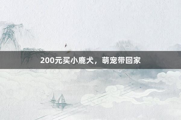 200元买小鹿犬，萌宠带回家