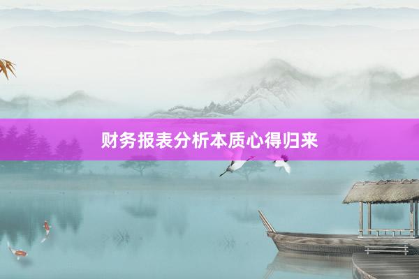财务报表分析本质心得归来